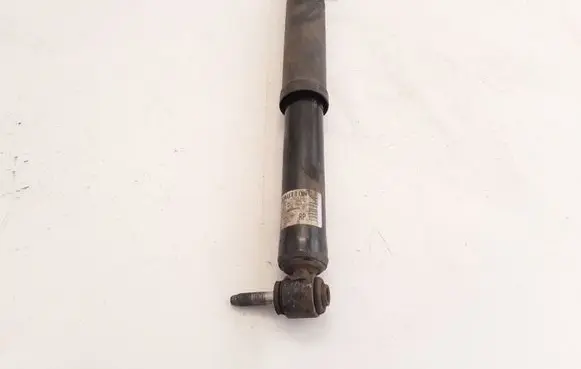Renault Kadjar Rear shock absorber/damper 562104EA2A