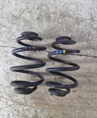 Rear coil spring