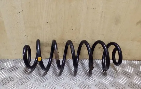 Rear coil spring