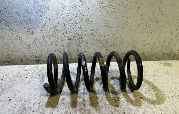 Hyundai Santa Fe Rear coil spring