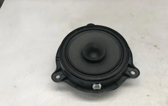 Rear door speaker