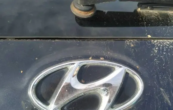 Hyundai Santa Fe Manufacturer badge logo/emblem 
