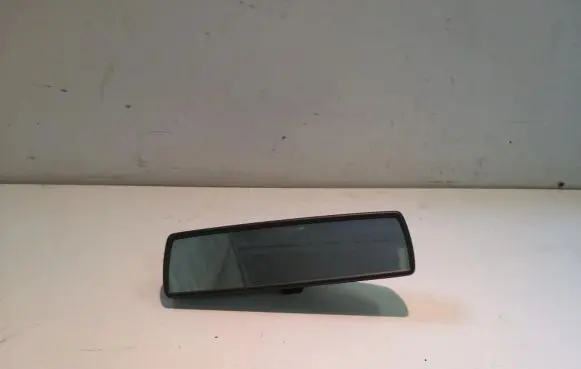 Volkswagen Golf V Rear view mirror (interior) E1010783