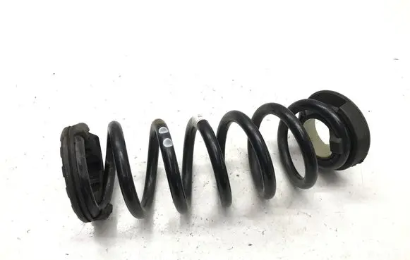 Rear coil spring