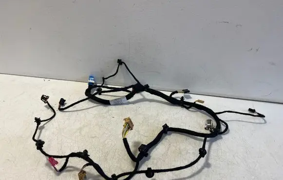 Porsche Taycan 9J1 Front door wiring loom 9J1971161FH