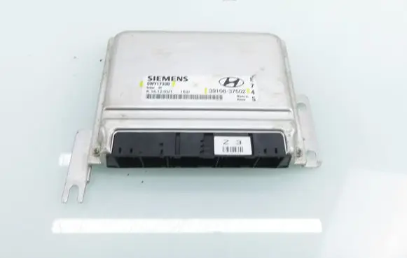 Hyundai Santa Fe Engine control unit/module 5WY1733B 3910837502