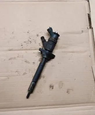 Citroen C4 I Fuel injector 0445110297