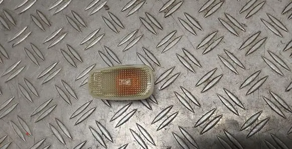 Toyota RAV 4 (XA20) Front fender indicator light 