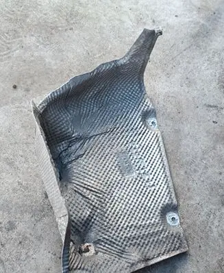 Exhaust heat shield