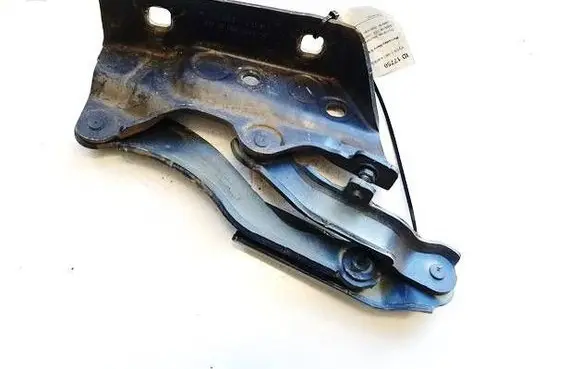Mercedes-Benz B W245 Engine bonnet/hood hinges A1698800428