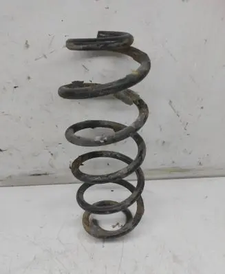Rear coil spring