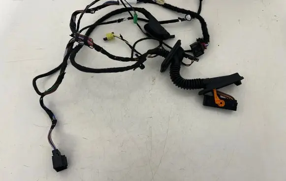 Front door wiring loom
