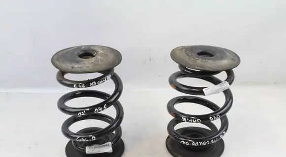Rear coil spring