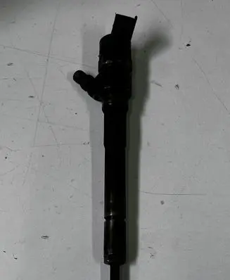 KIA Carens II Fuel injector 0445110258 3380027400