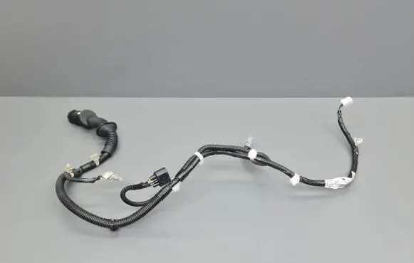 Rear door wiring loom