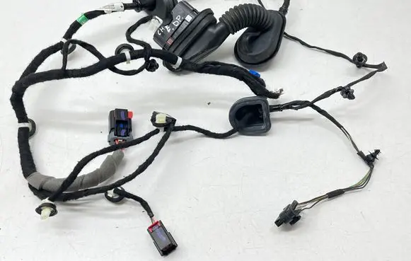 Front door wiring loom