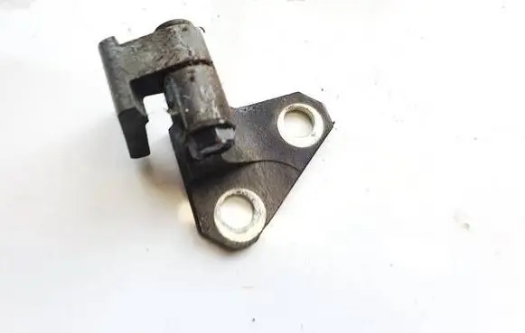 Volkswagen PASSAT B7 Rear door lower hinge