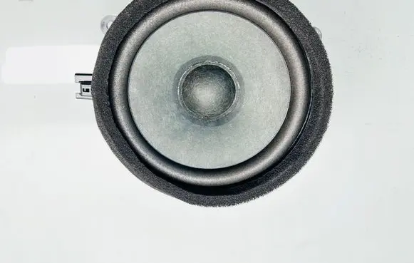 Volvo V90 Cross Country Rear door speaker 31350429