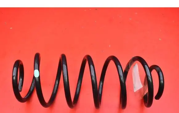 Rear coil spring