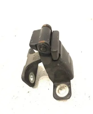 Renault Kangoo II Loading door lower hinge 