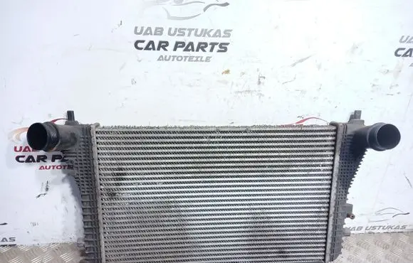 Volkswagen PASSAT B7 Intercooler radiator