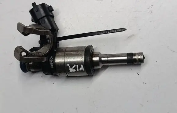 KIA Ceed Fuel injector 353102B110 0261500100 B1129209