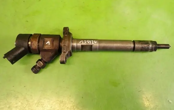 Citroen C5 Fuel injector 0445110259