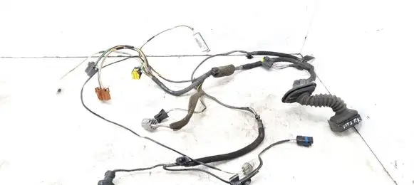 Renault Espace - Grand espace IV Front door wiring loom 8200318054