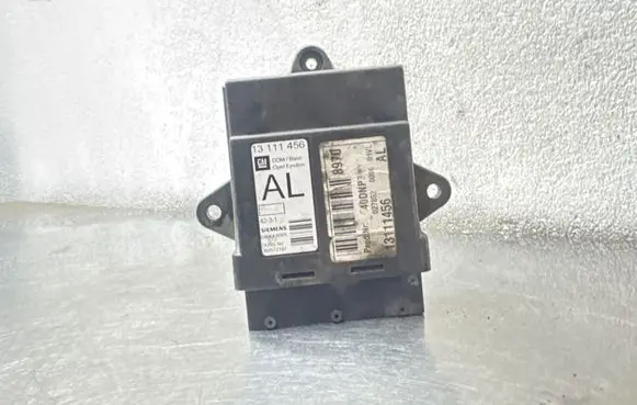 Opel Vectra C Door control unit/module 13111456
