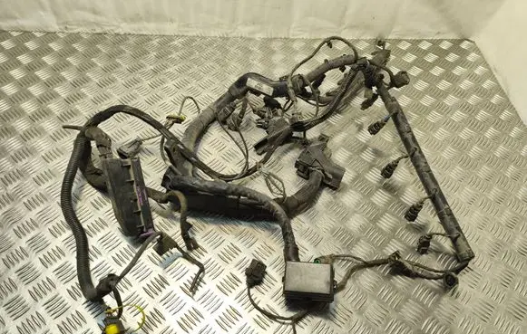 Hyundai Sonata Engine installation wiring loom 914003K011