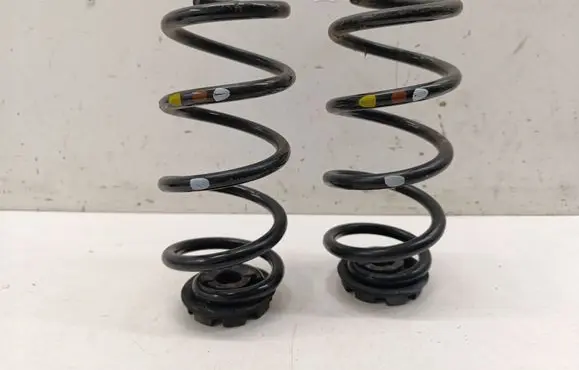 Rear coil spring