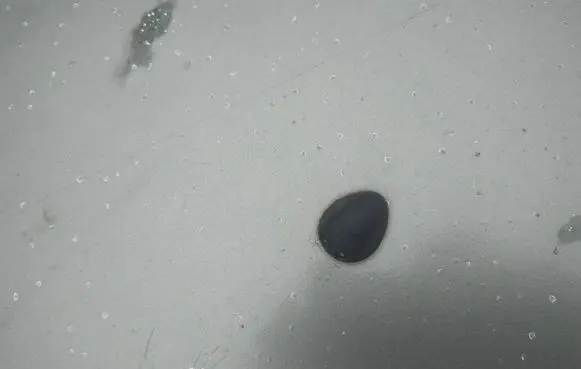 Renault Scenic I Windshield washer spray nozzle 