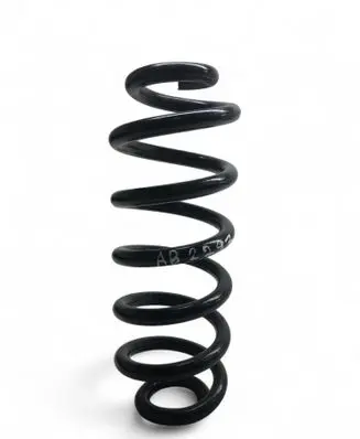 Rear coil spring