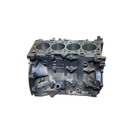 Renault Laguna III Engine block M9RJ805 M9R805 M9R