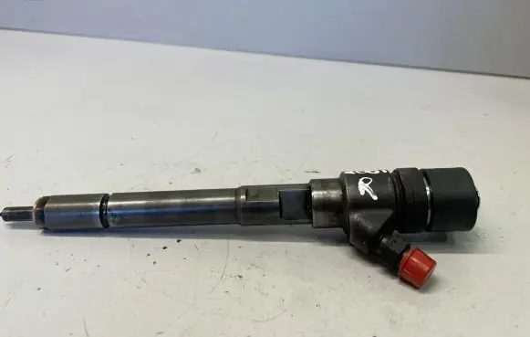 Hyundai Santa Fe Fuel injector 0445110254 3380027800