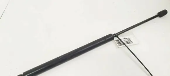 Tailgate/trunk strut/damper