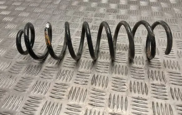 Renault Megane II Rear coil spring