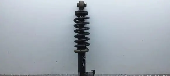 Peugeot 508 II Rear shock absorber with coil spring 9836290480