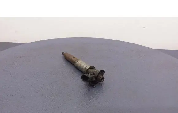 Renault Espace - Grand espace IV Fuel injector 0445115084