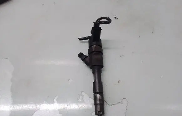 Renault Laguna II Fuel injector 0445110021