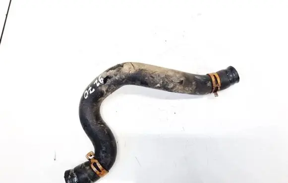 Renault Scenic I Engine coolant pipe/hose