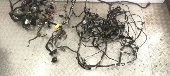 Engine installation wiring loom
