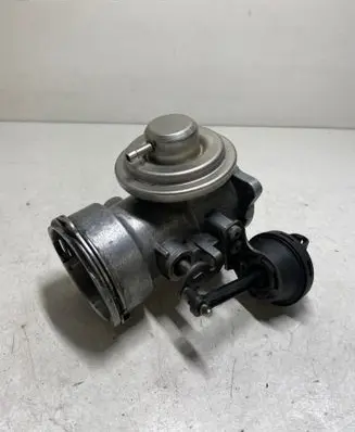 Volkswagen Sharan EGR valve 038131501AA 290313063