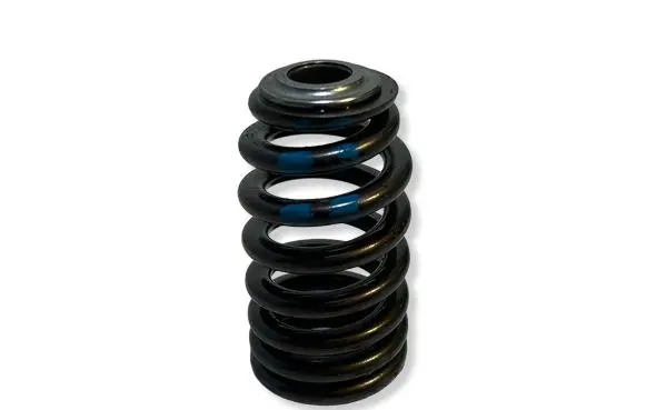 Dodge Challenger Valve spring 