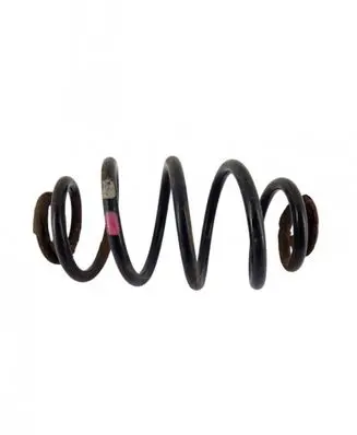 Volkswagen PASSAT B5 Rear coil spring