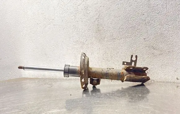 Opel Astra H Front shock absorber/damper 22214598