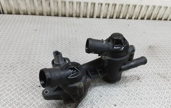 Thermostat/thermostat housing