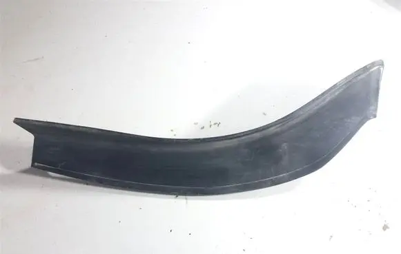 Rear/tail light trim molding