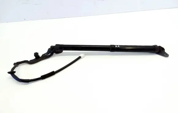 Toyota RAV 4 (XA40) Tailgate/trunk strut/damper 6892042010