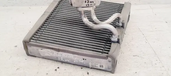 Air conditioning (A/C) radiator (interior)
